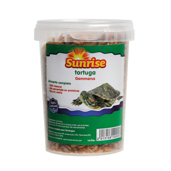 SUNRISE GAMMARUS