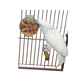 RUEDA SNACKS INTERACTIVA PARA AVES