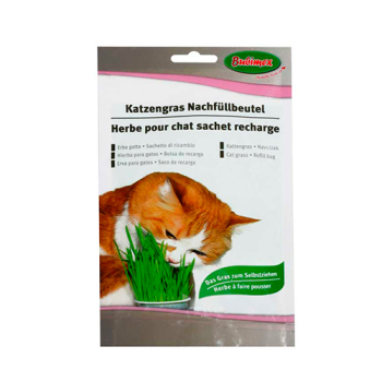 BOLSA RECARGA SEMILLAS HIERBA PARA GATOS