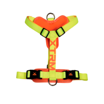 ARNES X-TRM CRONOS NEON FLASH LIMON