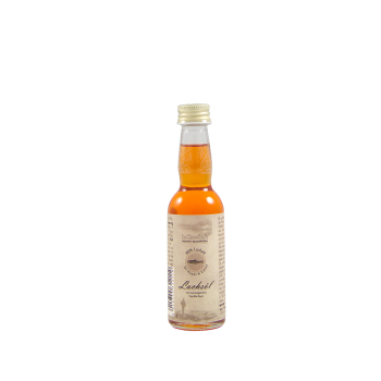BARF ACEITE DE SALMON PERRO-GATO - 2
