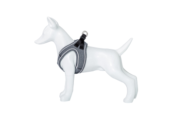 ARNES SHIVA GRIS - 1