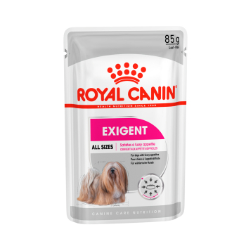 CANINE EXIGENT CAJA 12U - 1