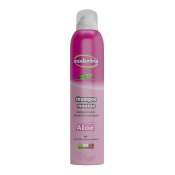 INODORINA CHAMPU EN SECO ALOE 300 ML