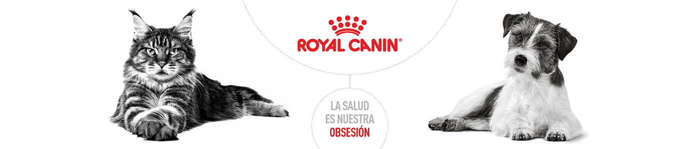 Royal Canin 2
